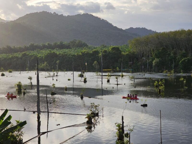 krabi-south-kayak-klong-root-kayaking-tour