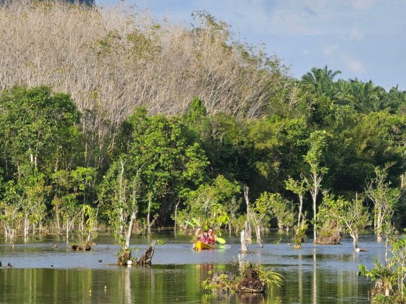 krabi-south-kayak-klong-root-kayaking-tour