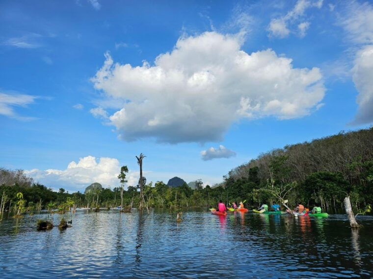 krabi-south-kayak-klong-root-kayaking-tour