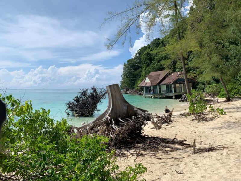 Krabi: The Phi Phi Cove Collector - The Cove Collector Experience: Hidden Coves by Longtail Boat