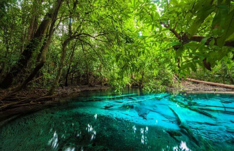 Krabi Tiger cave , emerald pool, hosspring waterfall jungle - The Itinerary Breakdown: What to Expect