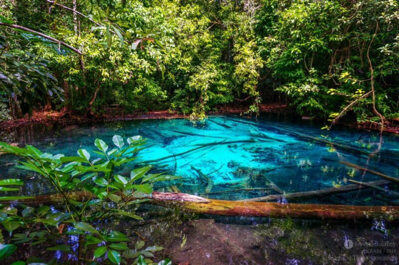 Krabi Tiger cave , emerald pool, hosspring waterfall jungle - The Practicalities: What You Need to Know