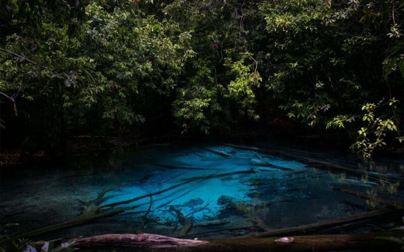 krabi-tiger-cave-hot-springs-and-emerald-pool-jungle-tour