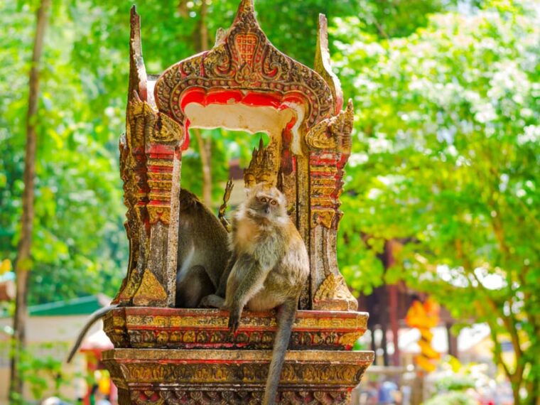 krabi-tiger-cave-hot-springs-emerald-pool-private-tour