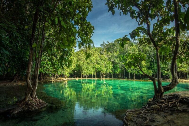 krabi-tiger-temple-hot-springs-crystal-pool-jungle-tour