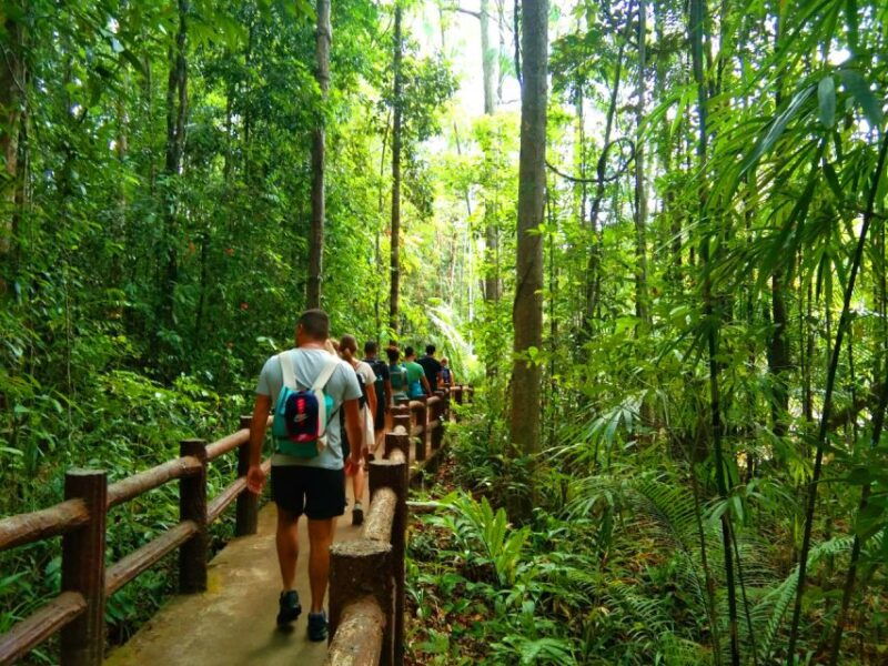 krabi-tiger-temple-hot-springs-crystal-pool-jungle-tour