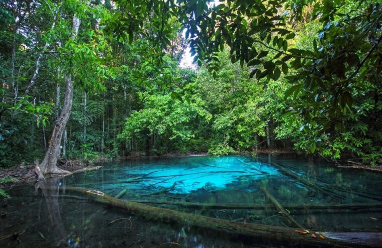 krabi-tiger-temple-hot-springs-crystal-pool-jungle-tour
