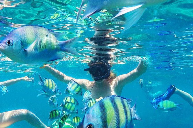 Krabi to Phi Phi Islands by Speedboat - What the Reviews Say: Honest Insights