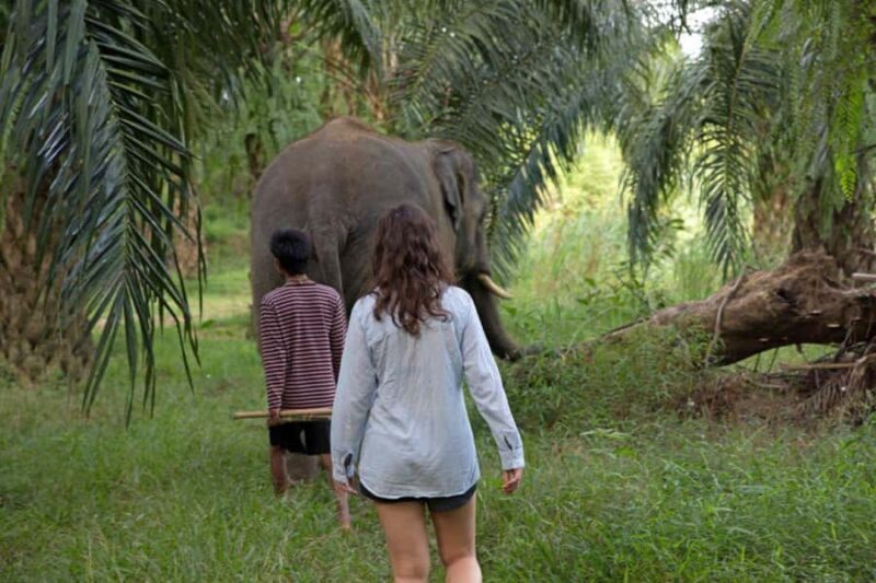 Krabi: Unique Dusk Ethical Elephant Sanctuary Experience - FAQ