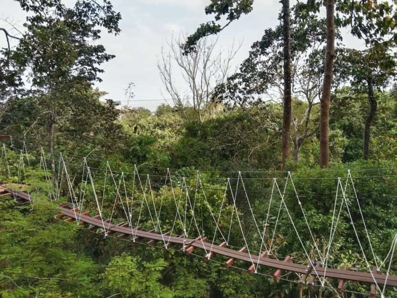 Krabi Zipline adventure - An In-Depth Look at the Krabi Zipline Adventure