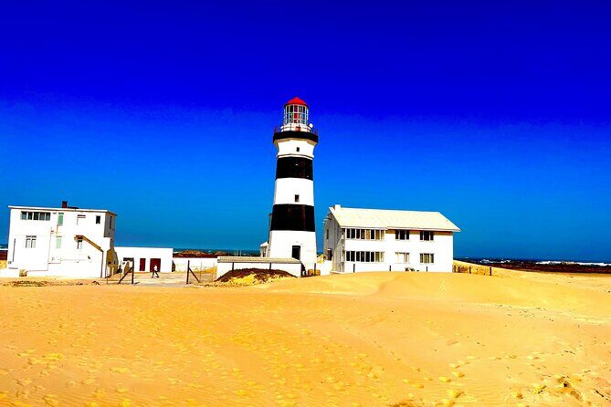 Kragga Kamma Game Drive and Scenic Coastal Tour in Port Elizabeth - Final Words