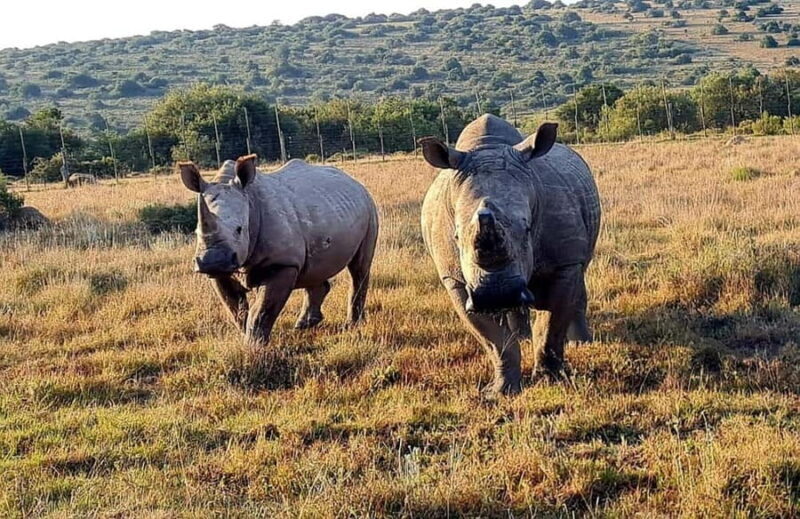 Kragga Kamma Game Park - FAQ