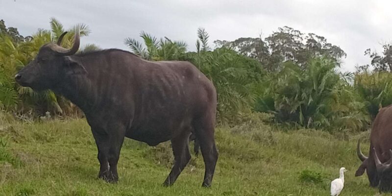 Kragga Kamma Game Park - Final Words