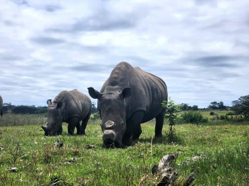Kragga Kamma Game Park Half Day Safari - Introduction