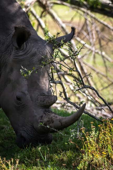 KRAGGA KAMMA GAME PARK - Who Should Consider This Tour?