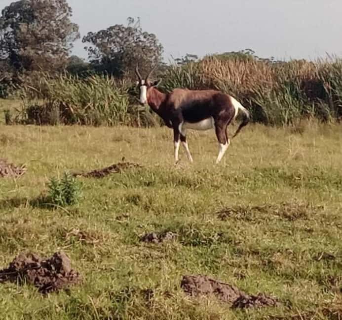 Kragga kamma private game reserve tour - Key Points