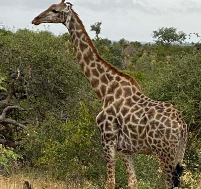 Kragga kamma private game reserve tour - What to Expect from the Kragga Kamma Private Game Reserve Tour