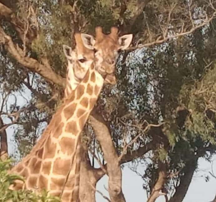 Kragga kamma private game reserve tour - Final Thoughts