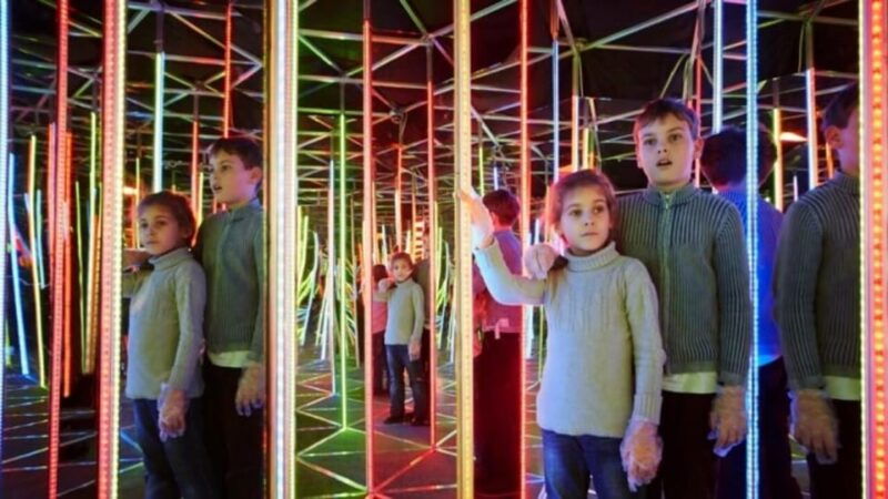 krakow-4-mazes-and-living-butterfly-museum-entry-ticket