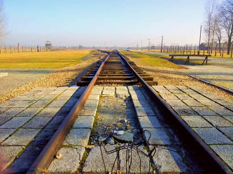 Krakow: Auschwitz-Birkenau Memorial Tour with Optional Lunch - The Itinerary and What to Expect