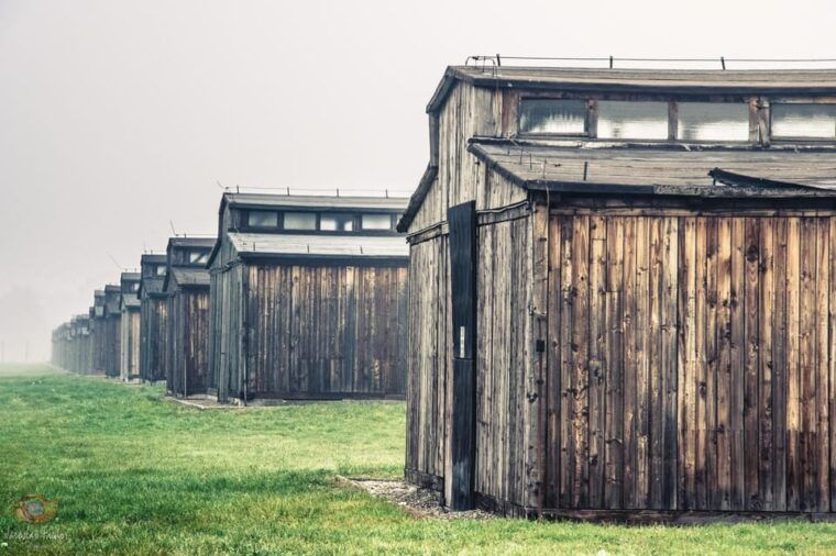 krakow-auschwitz-birkenau-private-tour-transportation