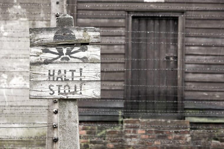 krakow-auschwitz-wieliczka-salt-mine-guided-day-tour