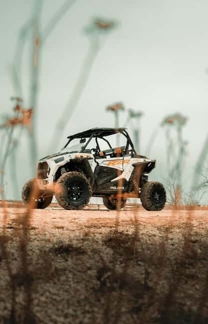 Kraków: Buggy Ride Adventure with Bonfire and Thermal Pools - The Buggy Ride: Off-road thrills and scenic routes