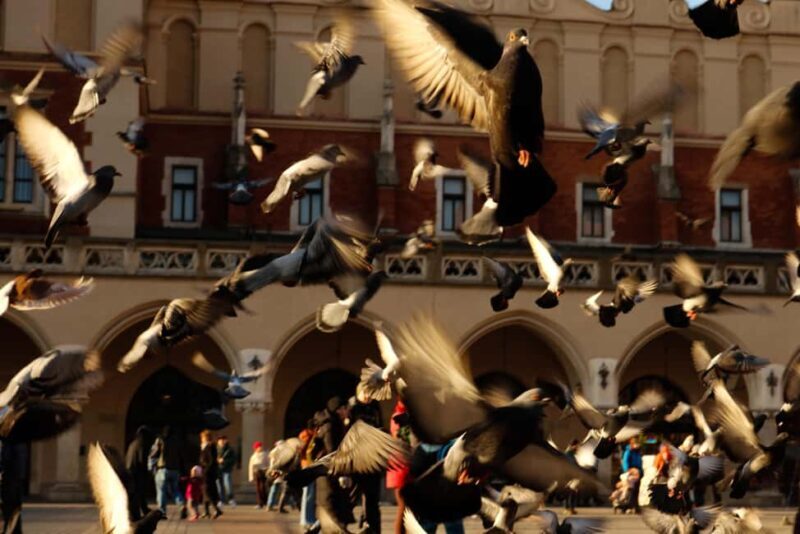 Krakow: Fairy Tales and Legends Guided Family Tour - Value and Who This Tour Is For