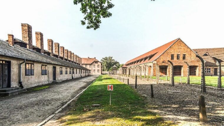 krakow-full-day-auschwitz-birkenau-salt-mine-guided-tour