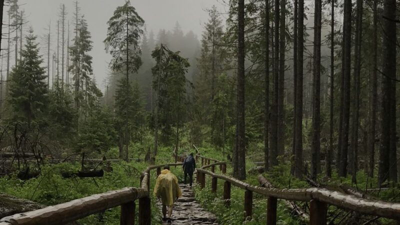 krakow-hiking-adventure-in-tatra-mountains-thermal-baths