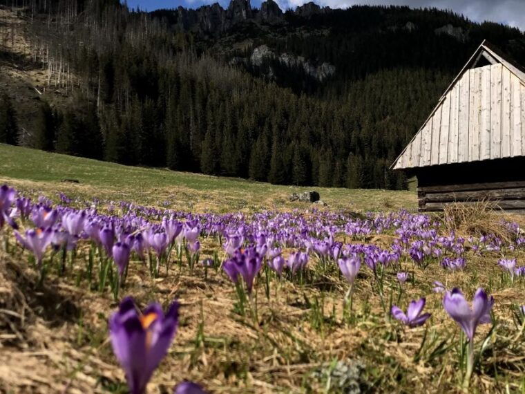 krakow-hiking-adventure-in-tatra-mountains-thermal-baths