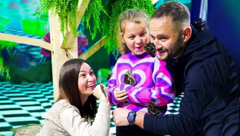 krakow-living-butterflies-museum-house-of-attractions