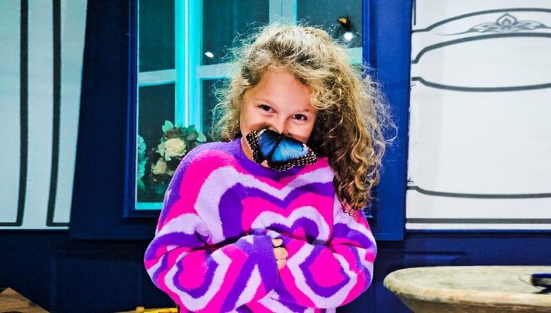 krakow-living-butterflies-museum-house-of-attractions