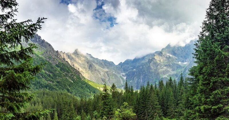 krakow-mountain-treetop-walk-zakopane-day-trip
