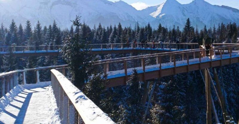 krakow-mountain-treetop-walk-zakopane-day-trip