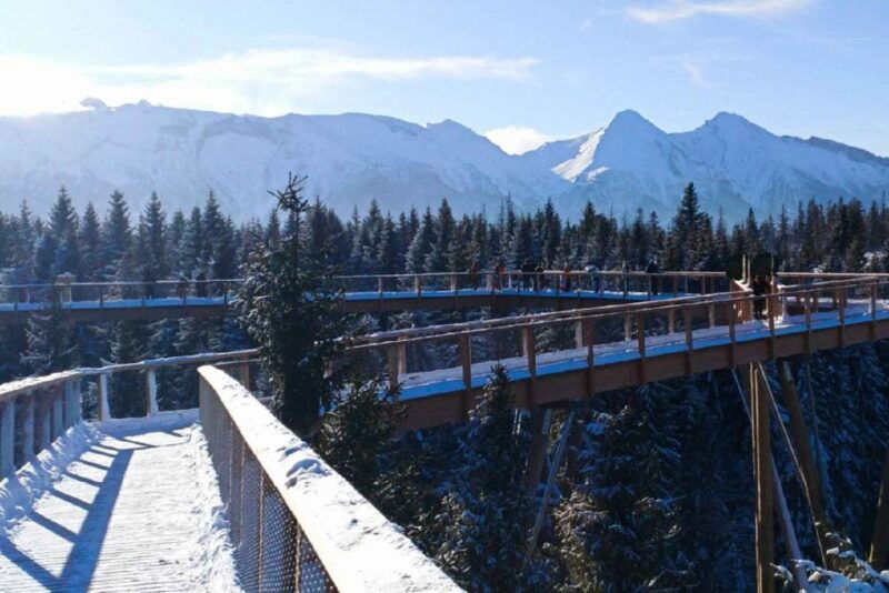 krakow-mountain-treetop-walk-zakopane-day-trip