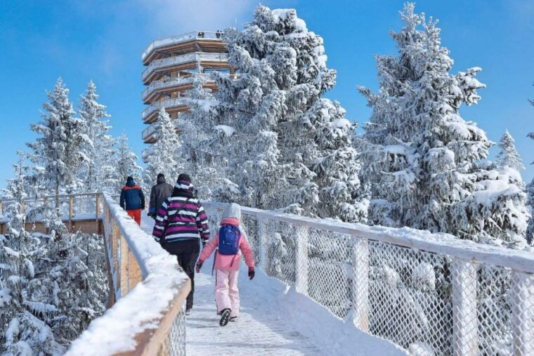 krakow-mountain-treetop-walk-zakopane-day-trip