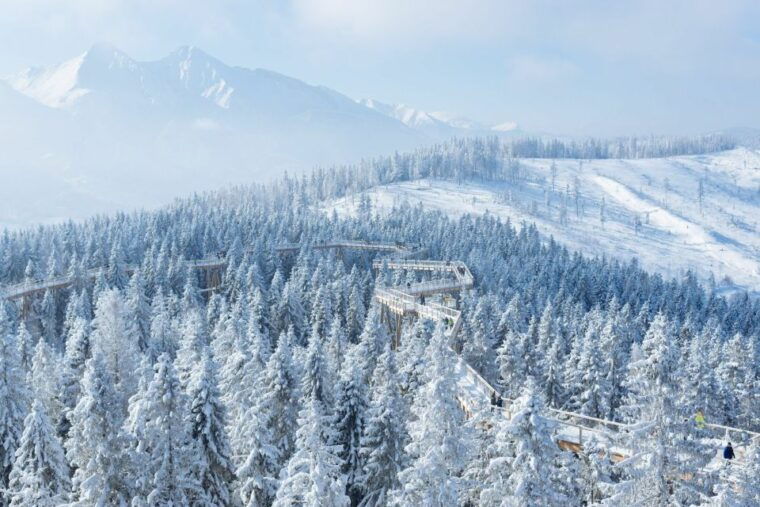 krakow-mountain-treetop-walk-zakopane-day-trip