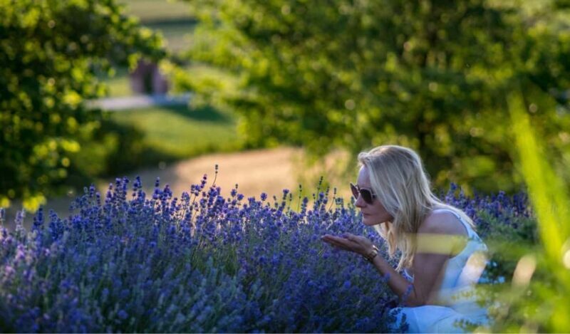 Kraków: Private Lavender Fields & Vineyard Tasting Tour - A Closer Look at the Experience