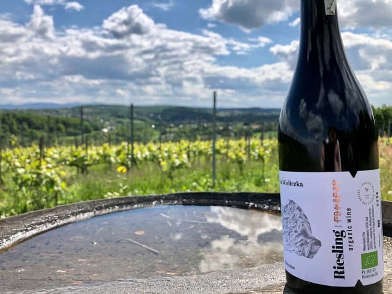 Kraków: Private Lavender Fields & Vineyard Tasting Tour - Final Thoughts