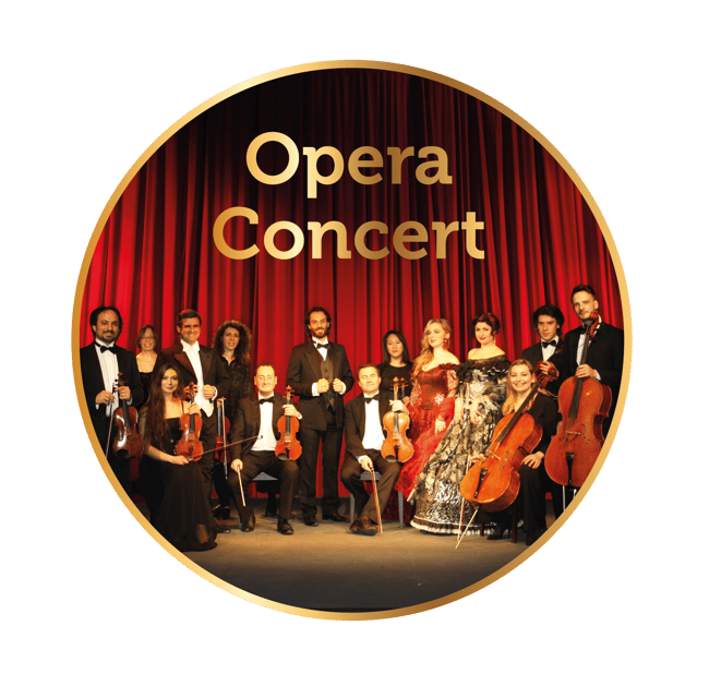 krakow-vienna-opera-gala