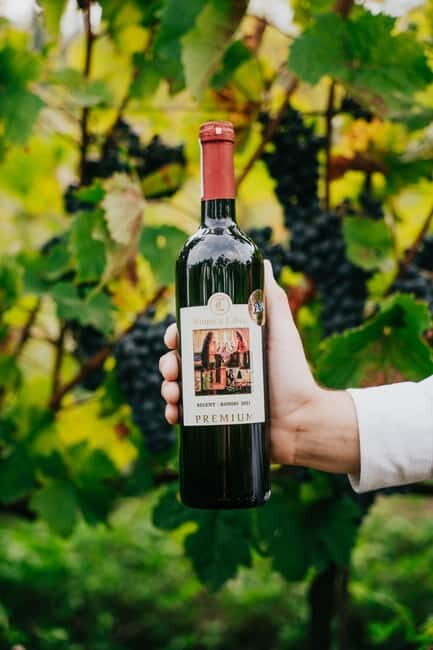 Krakow: Vineyard Tour with Wine Tasting and Dinner - Who This Tour Is Best For