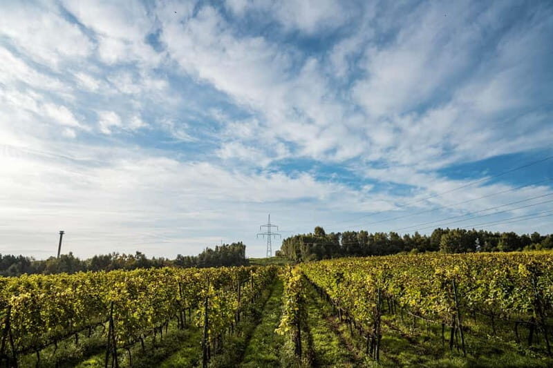 Krakow: Vineyard Tour with Wine Tasting and Dinner - FAQs