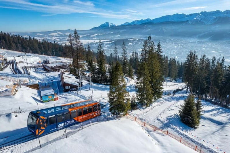 Krakow: Zakopane, Cable Car & Treetop Skywalk - Who Should Consider This Tour?