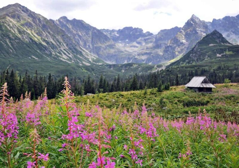 Krakow: Zakopane, Morskie Oko, and Cheese Tasting Tour - Analyzing the Value and Suitability