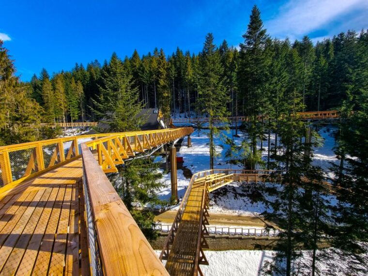 krakow-zakopane-thermal-baths-and-gorce-park-treetop-walk