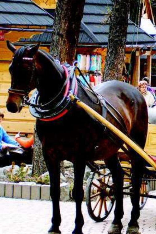 krakow-zakopane-tour-cable-car-thermal-baths-hotel-pickup