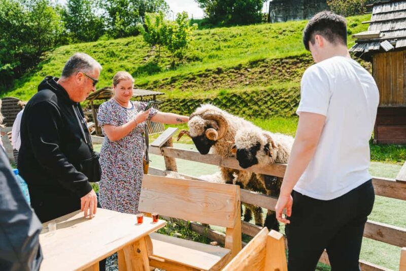 Krakow: Zakopane Tour with Hot Springs, Cable Car & Tasting - Introduction