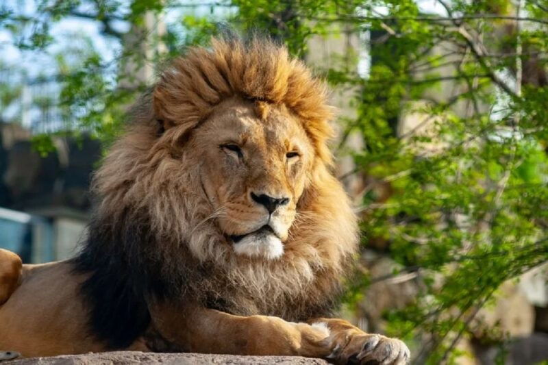 krakow-zoo-tour-with-private-transport-and-tickets