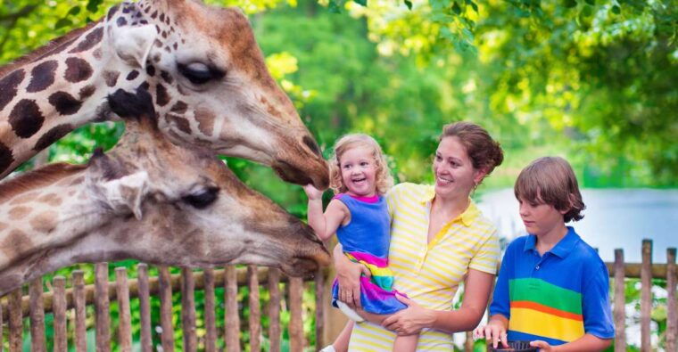 krakow-zoo-tour-with-private-transport-and-tickets